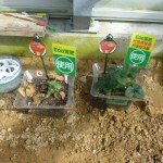 20100302 310