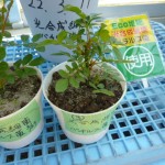 20100330 009