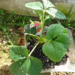 20100404 039