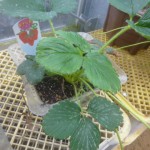20100412 021