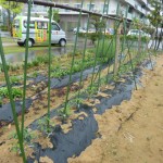 20100519 103