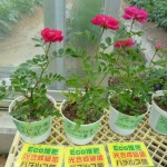 20100522 012