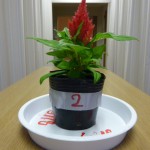 20100620 015